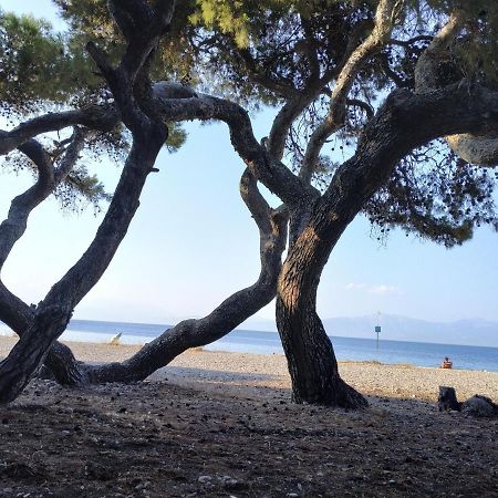 Cute Small Flat Near The Beach Apartment Xylokastro Luaran gambar